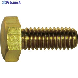 TRUSCO Zp{g  SlW M6×20 9{ Y501-0620 1pbN 243-0599