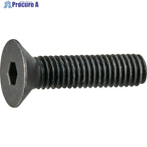 TRUSCO �Z�p���t�M�{���g ������ �S�˂� M5×25 10�{�� ���ʃp�b�N Y808-0525 1�� ��379-7939