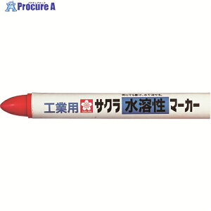 TN n}[J[  WSC19R 1{ 384-8183