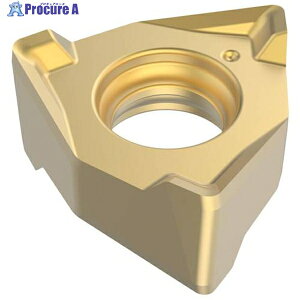 �Z�R �t���C�X �X�N�G�A6�p�C���T�[�g XNEX04 F40M XNEX040304R-M06 F40M 10�� ��428-2470