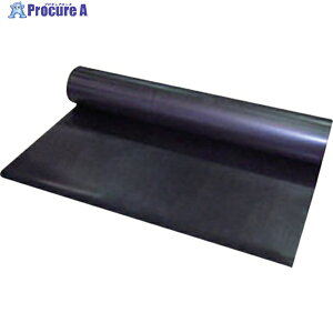 WAKI SV[g WGS-531 1 836-3064