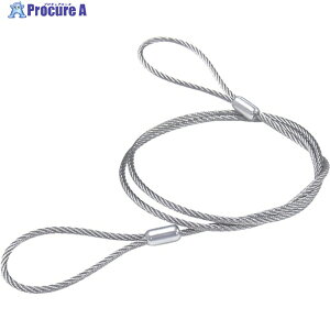 jbT`FC XeXJbgC[ A~JV 2.0X300mm (1{1PK) Y-49 1{ 836-6582