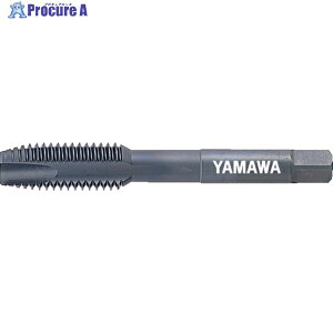 ���}�� �j�b�P������p�|�C���g�^�b�v ZEN-P P5 M12×1.75 ZENP-M12(M12X1.75) 1�{ ��121-2486 ��MA515