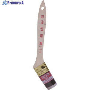 ATqy PCp 30mm CEP-30 220509 1{ 131-9583