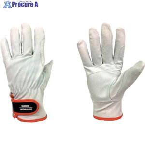 Ag Rrv W[ LLTCY 2062 LL 1o 244-2427