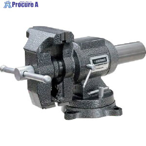 �A�X�g���v���_�N�c �}���`�x���`�o�C�X 125mm BV790 2003000007909 1�� ��252-7002