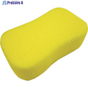 AXgv_Nc ԃX|W 2003000002379 1 253-6299