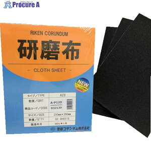 R_ zA23 230mm 280mm #120 19-A23-230X280-120 50 257-3361