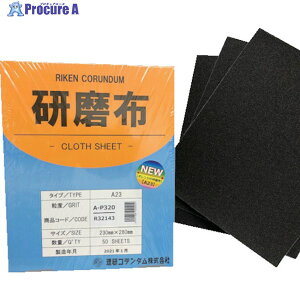 R_ zA23 230mm 280mm #320 19-A23-230X280-320 50 257-3364