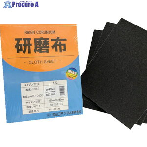 R_ zA23 230mm 280mm #60 19-A23-230X280-60 50 257-3366