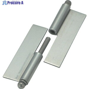 TRUSCO X`[ iV Ep (1g()2) 225W-5040R 1g 300-7103