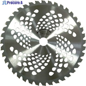 GS Ζ`bv\[230mm36n2g 210428 1g 360-0882