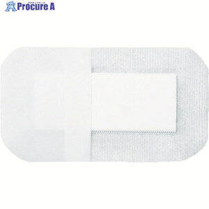 �n�N�]�E���f�B�J�� �J�n�p �G���o�����C�hDX NO.60 60×100mm 50���� 3155002 1�� ��114-6809