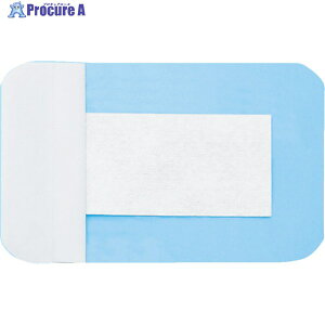 nN]EfBJ Jnp GoubN NO.100 100×150mm 30 3155027 1 114-6812