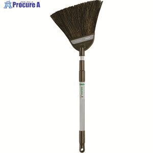 azuma BR162 3iLk ԃV_z[LAL 270698 1{ 195-4558