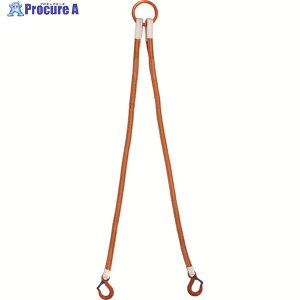 TAIYO 2�{�� �C���J���t�e�B���O�X�����OJIS 5t�p×2m(1013766) 2ILS5TX24K 1S ��207-0240