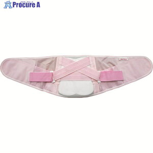 a oeT|[^[ ŃRZbg ӂTCY(pXesN) 23121 1 223-6478