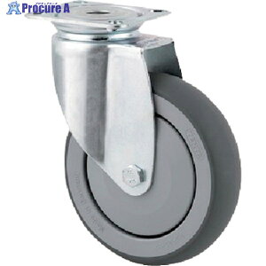 �e���e�L���X�^�[ �v���[�g���L���X�^�[�gAGILA�h(�G���X�g�}�[��) ��75 ���ݎ� 2470PJP075P40 1�� ��255-7457