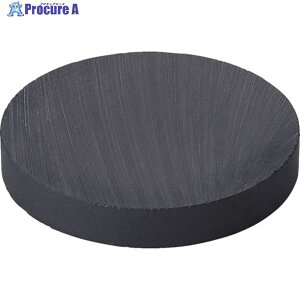 MAGNA �y���ؔp�ԁz�}�O�i �t�F���C�g���� (10��) 310254 1�� ��332-5407