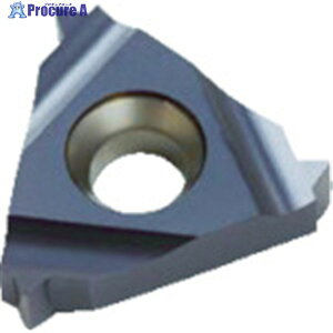 NOGA Carmex�˂��؂�p�`�b�v ISO���[�g���˂��p �`�b�v�T�C�Y22×P4.5×60° 22IR4.5ISOBMA 10�� ��403-5046