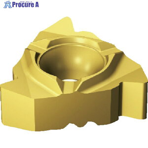 SANDVIK �R���X���b�h266 �˂��؂���H�p�`�b�v(330) 1135 266RG-16MM01A200M 1135 (330) 10�� ��604-5081 ��KO521