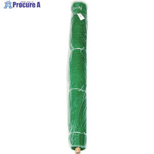 Dio |LStlbg  25mmp 2m×30m(S^Cv) 300728 1 819-4889