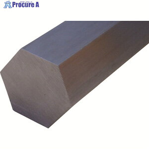 NOMIZU XeX| SUS-316 Zp_ 10×300 316-H-010-0300 1{ 856-7234