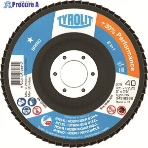 TYROLIT tbvfBXN x[VbN^Cv 100mm #60 34318536 10 195-4398