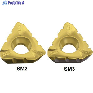 TAEGUTEC �~�[�����O���H�p�`�b�v �~�����b�V�� 3PKT 150508R-SM2 TT9080 10�� ��442-3535