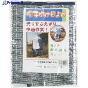 Dio Xq|悯 TCYt[ 400558 1 819-4861