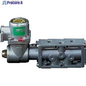 CKD d pCbg h`5|[g 4FV[Y(VO\mCh) 4F310E-08-TP-AC200V 1 376-7833