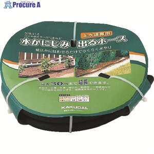 KAKUDAI yؔpԁzXvN[ gɂݏoz[XƁh z[X5m 578-31-5 1S 420-2970