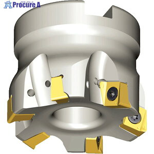 TAEGUTEC �~�[�����O�J�b�^�[ �`�F�C�X4�~�� 4N TF90-763-22R-09 1�{ ��442-4738