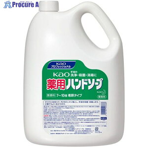 Kao Ɩppԉnh\[v 4.5L 503688 1 536-9789