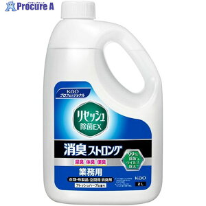 Kao LXv[ ƖpZbVEX LXgO 2L 510877 1 828-9114