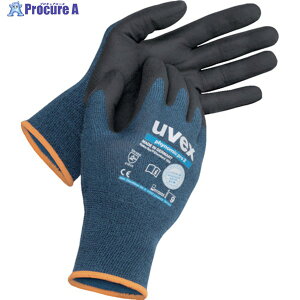 UVEX tBm~bN v 2 L 6006469 1o 242-8966