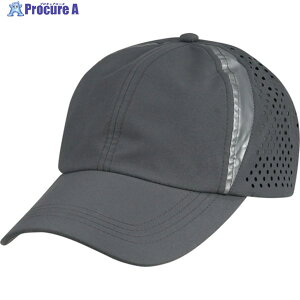 JWCN 6528 ۗ܃|PbgtLbv O[ t[ 6528-70-F 1 523-6109