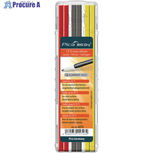 sJ}[J[ ϔMp֐c 12{ EԁE 6070 1pbN 666-4620