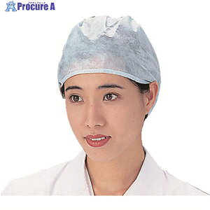 AS fBX|LbvSC-D1 100 6-991-01 1 818-8552