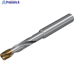 SANDVIK �R���h����860�]GM ���d�\���b�h�h����(720) X1BM 860.1-0390-012A1-GM X1BM (720) 1�{ ��350-7930 ��KO521