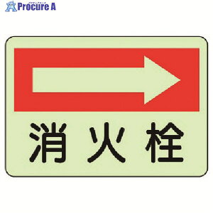 jbg hΕW ΐ EE~XebJ[E225X300 825-42 1 743-0094