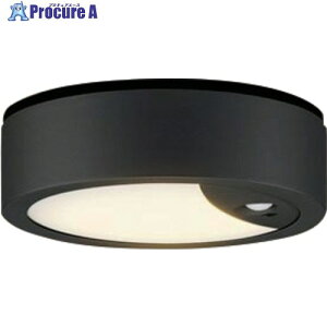 Panasonic �_�E���V�[�����O60�`�d���F�g�U LGWC51555LE1 1�� ����623-9004 �y�����s�x���ρz