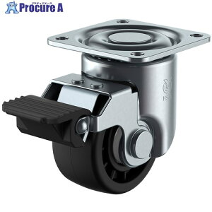 ���[�G�C �v���[�g�� ���� �Ᏸ�L���X�^�[ �����i�C���� �ԗ֌a65mm �X�g�b�p�[�t�� H�^�C�v HSG-S�^ ��t���@63×63 HSG-65GNBS 1�� ����699-6674 �y�����s�x���ρz