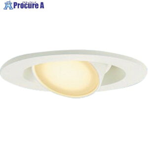 Panasonic �V�䖄���^ LED �d���F ���j�o�[�T���_�E�����C�g ��^10H ���C��SB�` �g�U�^�C�v �}�C���h�z�� ������75 LGD1302LLE1 1�� ����740-2109 �y�����s�x���ρz