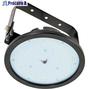 NICHIDO �t���[�Y�f�B�X�N120W L120FZB-P-H110-50K 1�� ��365-2643