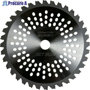 �n�E�XB.M �����`�b�v�\�[�uSKY BLUE�v SB-230 1�� ��335-8097