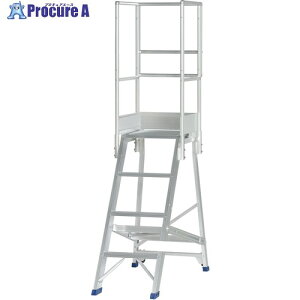PiCa ��Ƒ�p�I�v�V���� DWS�p�V�O���肷�� DWS-TS 1S ����716-0537 �y�����s�x���ρz