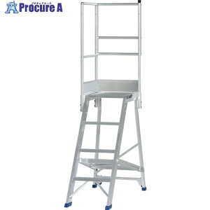 PiCa ��Ƒ�p�I�v�V���� DWS�p�V��L�肷�� DWS-TL 1S ����716-0539 �y�����s�x���ρz