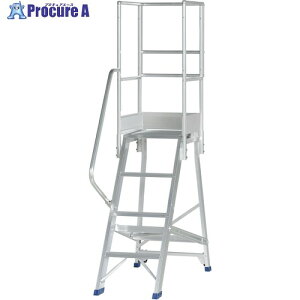 PiCa ��Ƒ�p�I�v�V���� DWS�p�Ў肷��V�O�� DWS-TKS 1S ����716-0540 �y�����s�x���ρz