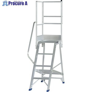 PiCa ��Ƒ�p�I�v�V���� DWS�p�Ў肷��V��L DWS-TKL 1S ����716-0541 �y�����s�x���ρz